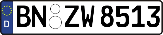 BN-ZW8513