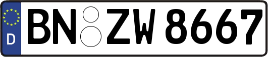 BN-ZW8667