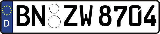 BN-ZW8704