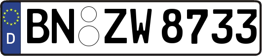 BN-ZW8733