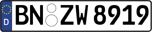 BN-ZW8919