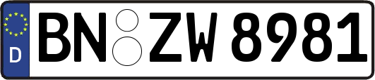 BN-ZW8981