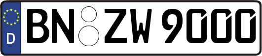 BN-ZW9000
