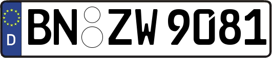 BN-ZW9081