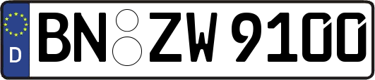 BN-ZW9100
