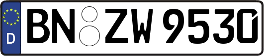 BN-ZW9530