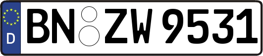 BN-ZW9531