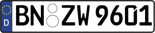 BN-ZW9601