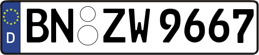 BN-ZW9667