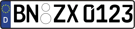 BN-ZX0123