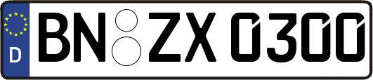 BN-ZX0300