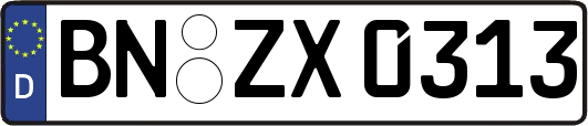 BN-ZX0313