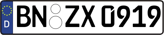 BN-ZX0919