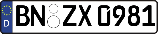 BN-ZX0981