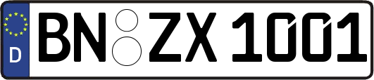 BN-ZX1001
