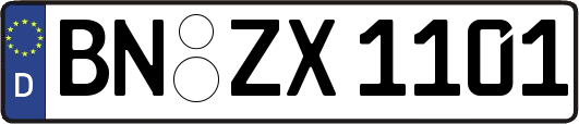 BN-ZX1101
