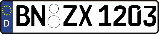 BN-ZX1203