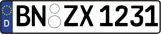 BN-ZX1231