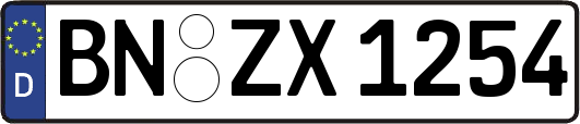BN-ZX1254