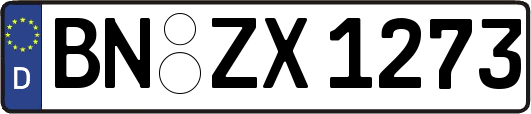 BN-ZX1273