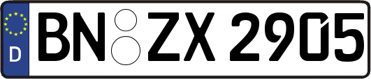 BN-ZX2905