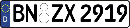 BN-ZX2919