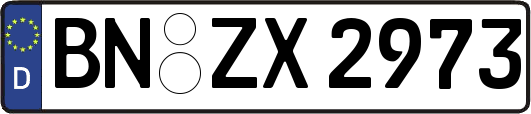 BN-ZX2973