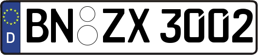 BN-ZX3002