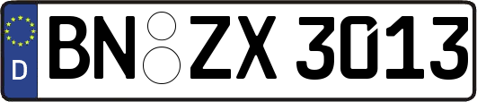 BN-ZX3013