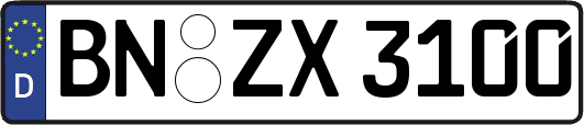 BN-ZX3100
