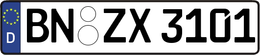 BN-ZX3101