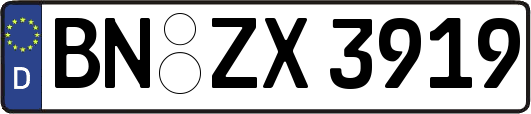 BN-ZX3919