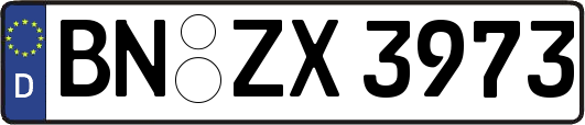 BN-ZX3973