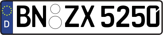 BN-ZX5250
