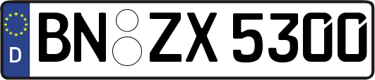 BN-ZX5300
