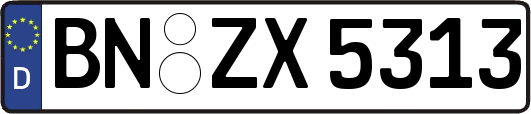 BN-ZX5313