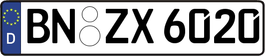 BN-ZX6020