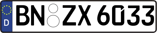 BN-ZX6033