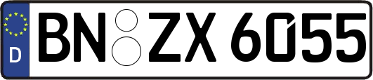 BN-ZX6055