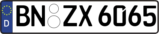BN-ZX6065