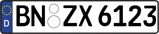 BN-ZX6123