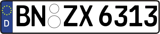BN-ZX6313