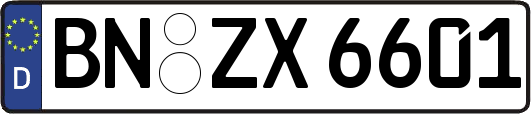 BN-ZX6601