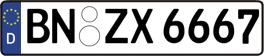 BN-ZX6667