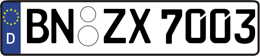 BN-ZX7003