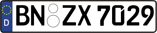 BN-ZX7029
