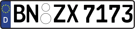 BN-ZX7173
