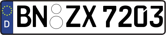 BN-ZX7203
