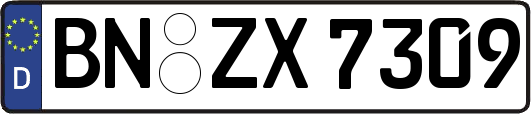 BN-ZX7309