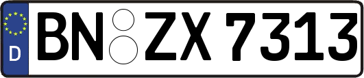 BN-ZX7313
